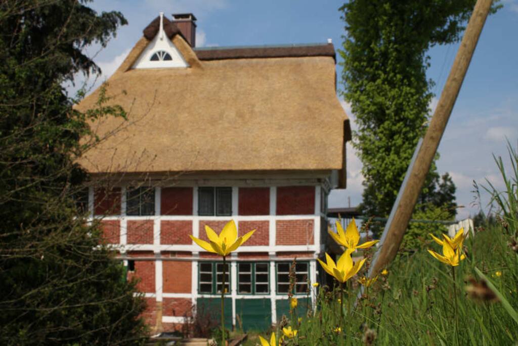 Entspann dich in der Natur oder beim Yoga und Achtsamkeitskurs