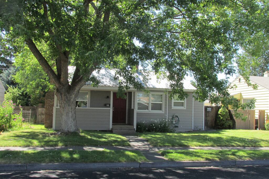 House and Large Maple Tree