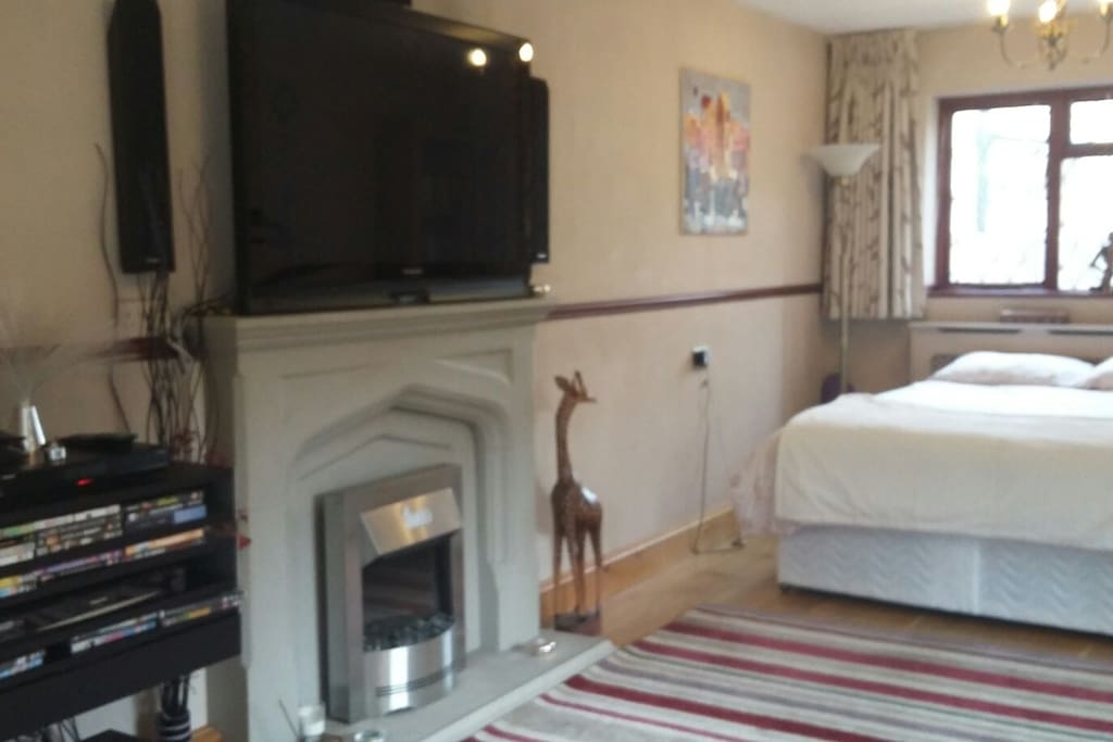 Big TV with DVD and Freeview box