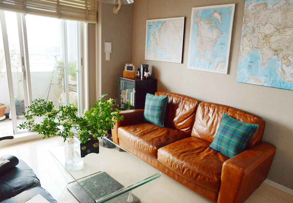 A comfortable leather sofa