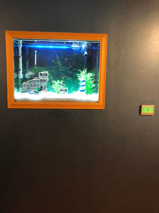 Relaxing fish tank in the sitting room...
