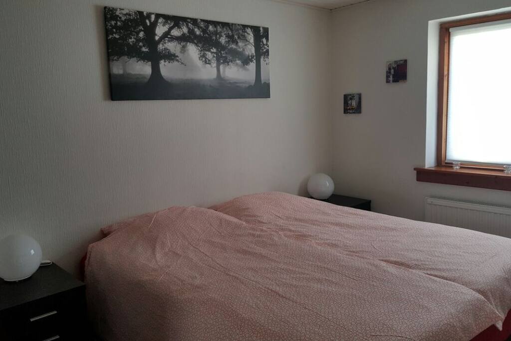 Very comfortable king size bed with dream zone top mattress