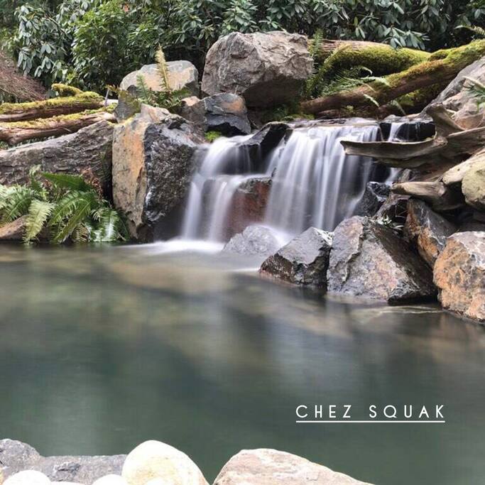 Natural Pond, No Swimming, Do not feed fish.