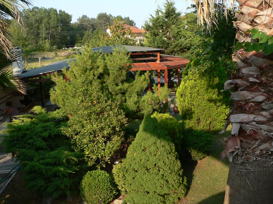 View of patio and garden from above