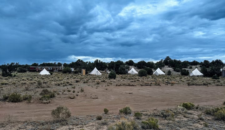Tent in Williams · ★4.89 · 1 bedroom · 1 bed · 1 bath