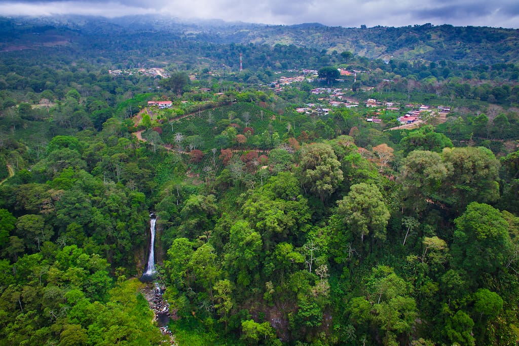 This is the small pueblo of Aquiares, situated in the middle of one of the largest coffee plantations in Costa Rica. You can see the Guest Cabina and Casita directly above the waterfall.