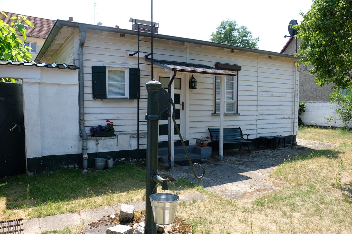 A single-story wooden house is shown with white siding and green shutters on windows. A bench is positioned in front, and a decorative water pump is near a stone pathway. The surrounding area features grass and a few potted plants.