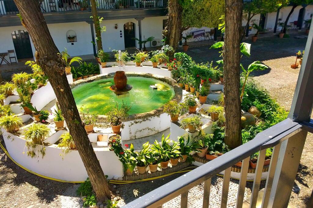 Courtyard and fountain