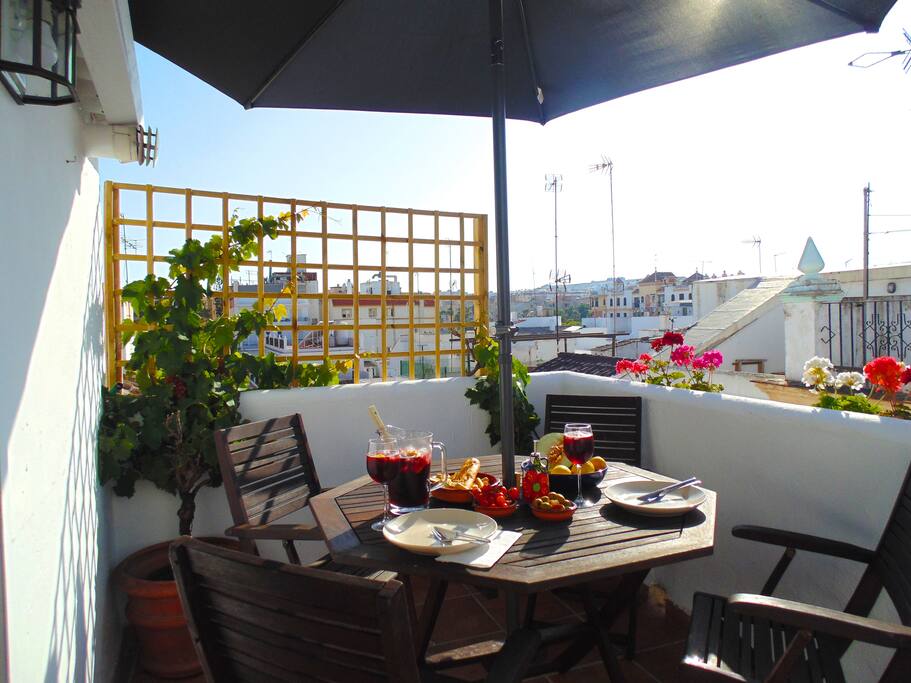 Terrace - Grape Vines
