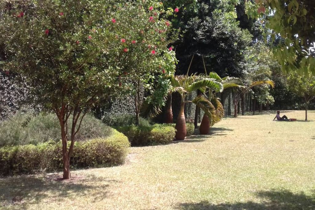 Spacious garden