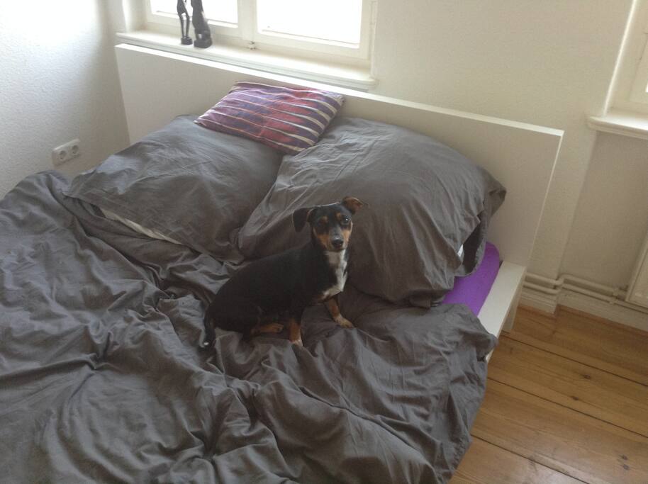 Das Hausmonster (Hilde)
