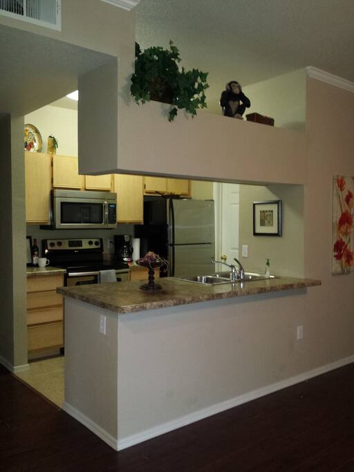 Stainless Steel Appliances