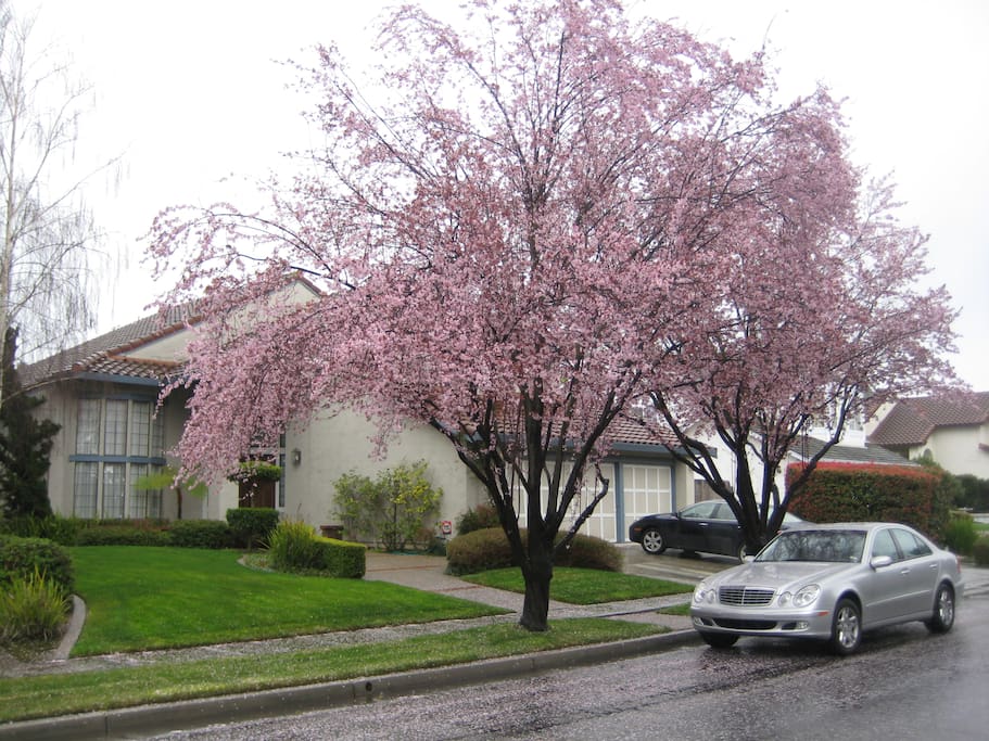View of home from the street