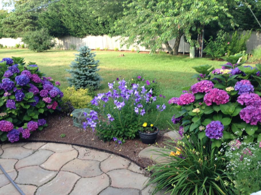 patio off dining area