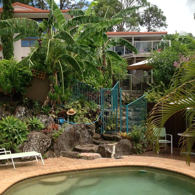 House photo taken from pool