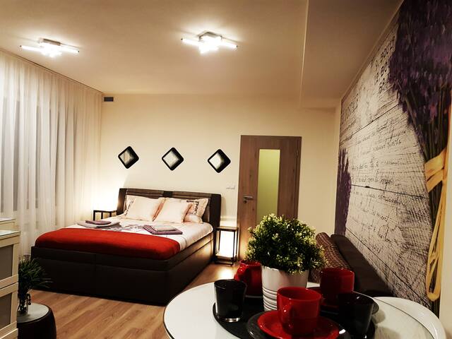 New apartments Bohemians.