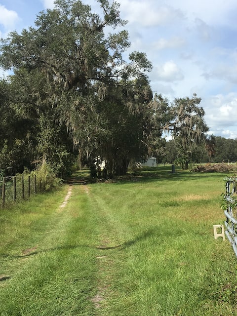 Country setting, close to UF, VA, Shands Hospital
