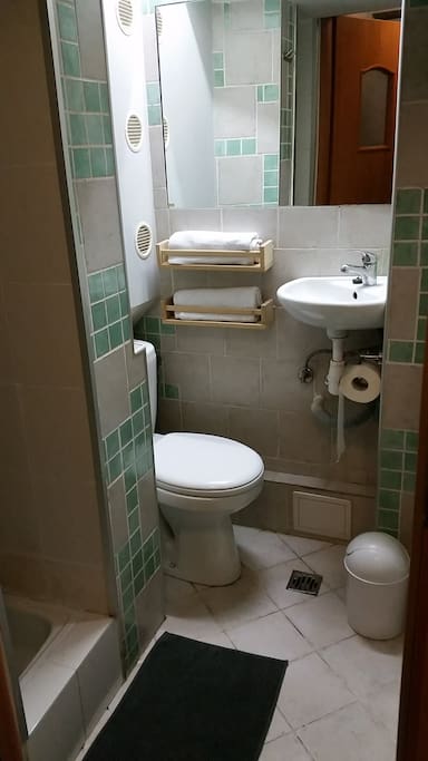 Bathroom - toilet and sink together with walk-in shower