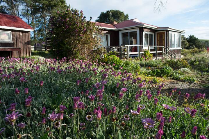 Red Gate Cottage Cottages For Rent In Dennes Point Tasmania