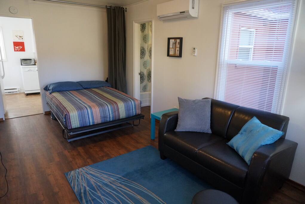 Living room with Murphy bed down