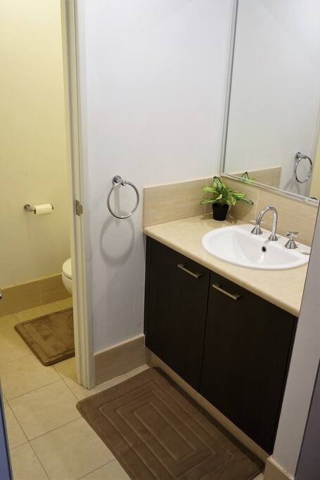 Private wash basin and toilet