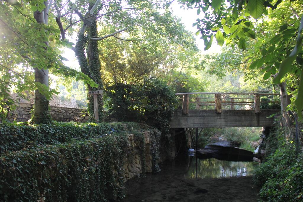 The river passing by the domain