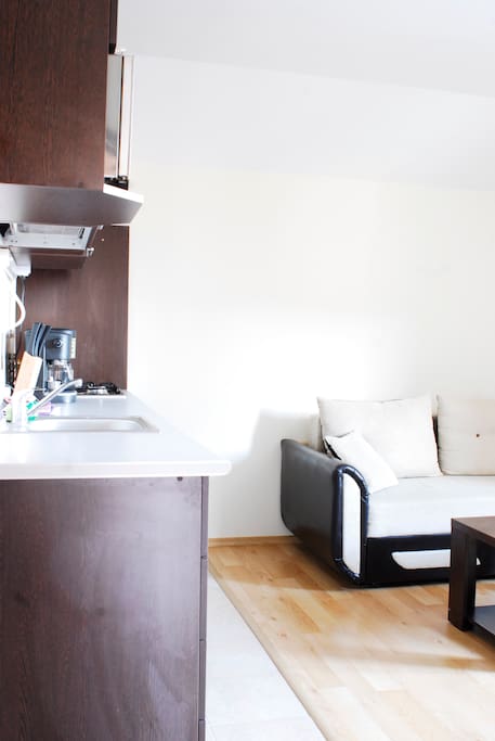 kitchen / living room