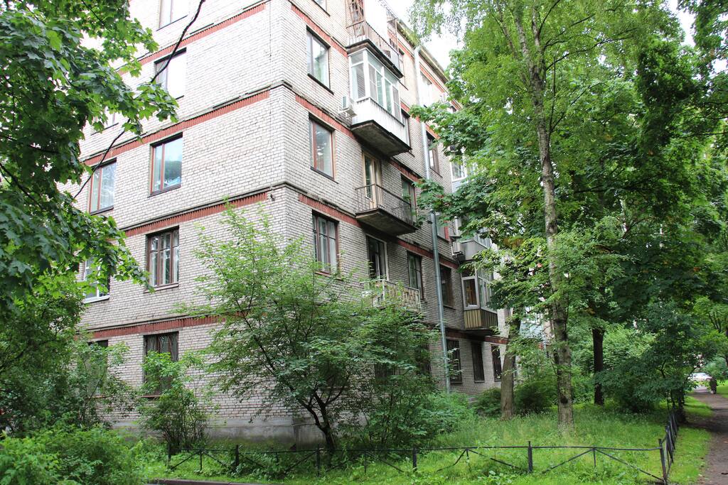Вид из окна на зеленый двор