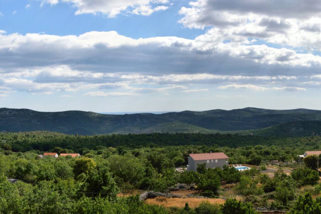 View