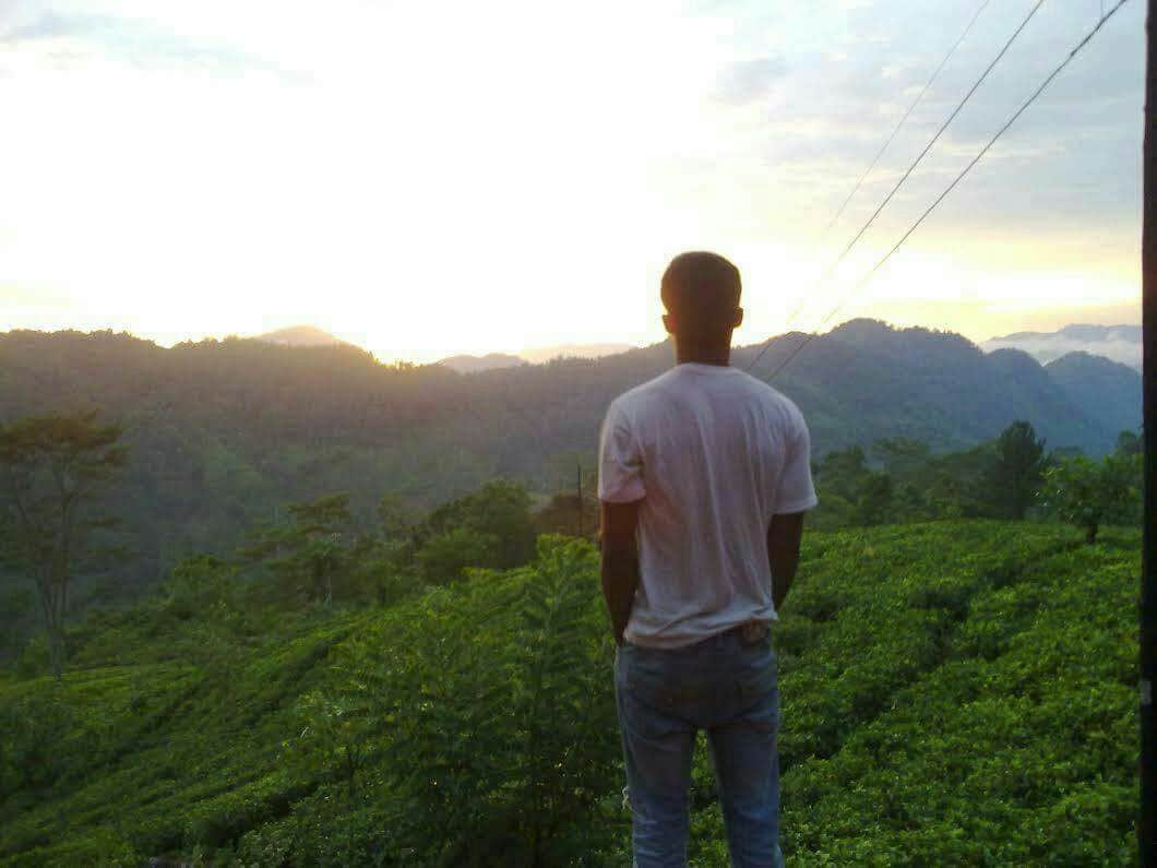 A figure is seen standing on a hillside, facing a vibrant sunrise over a lush green landscape. The silhouette of the person contrasts against the warm hues of the sky, with rolling hills and tea plant fields in the foreground, providing a sense of tranquility.
