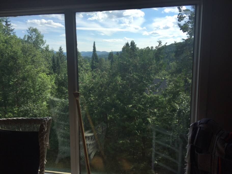 View from the great room/Vu du salon