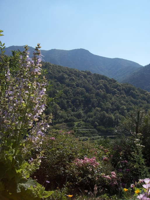 Les montagnes