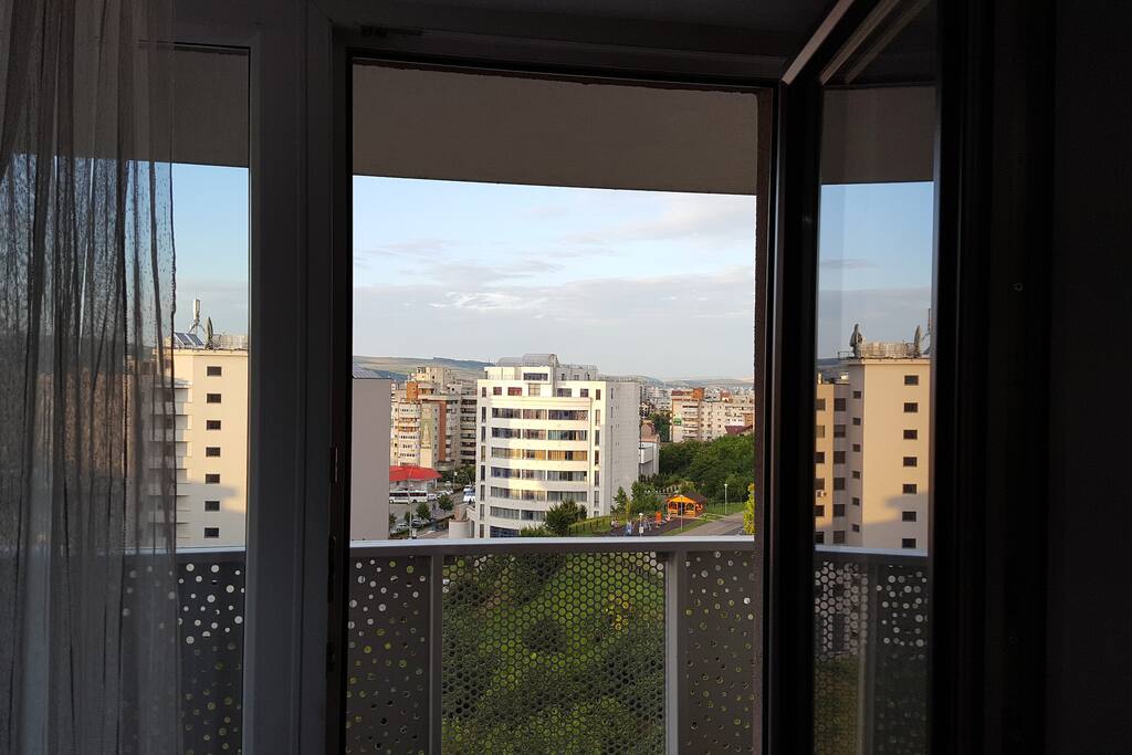 View