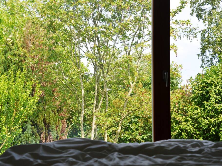 Blick in den Garten