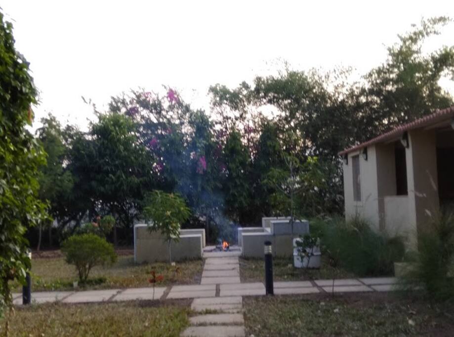 Bonfire area