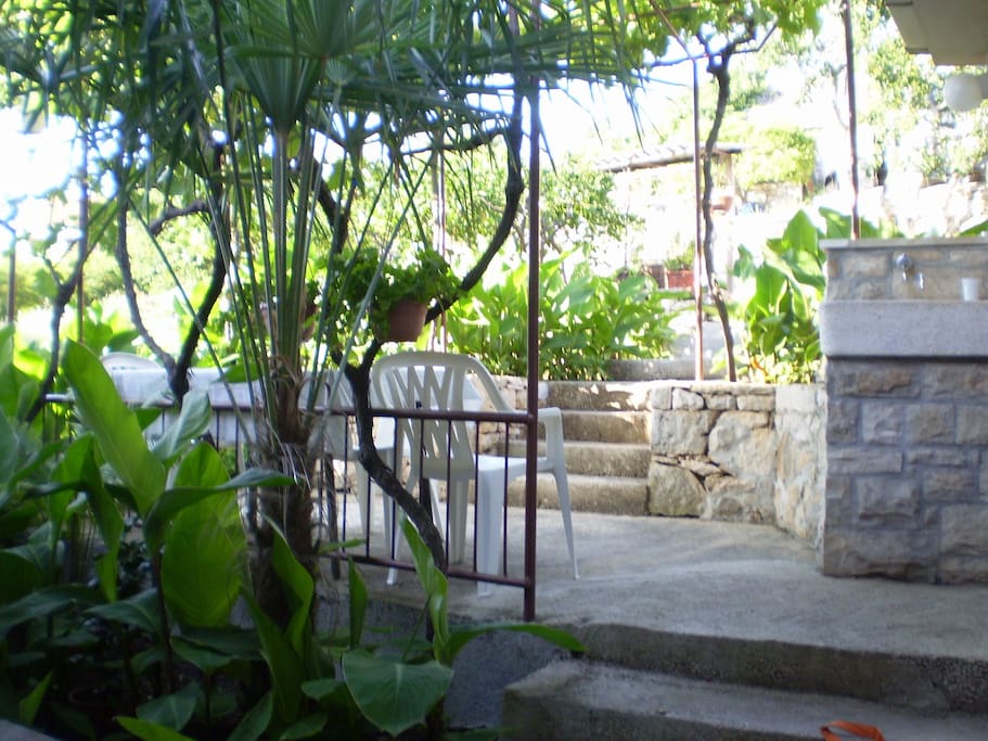 courtyard (house and surroundings)