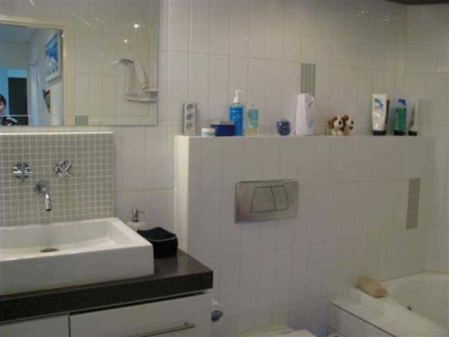 Large bathroom with spa