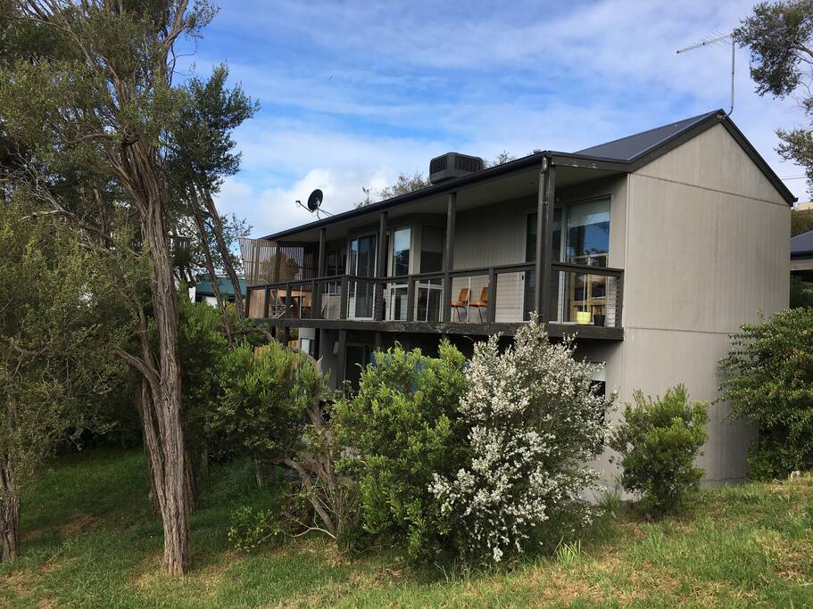 Back of the House