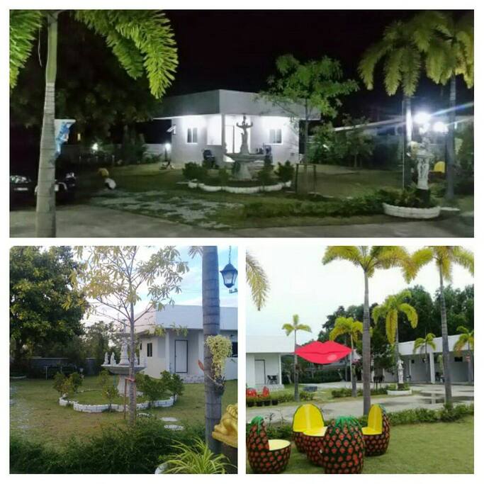 The environment in the Pon resort.