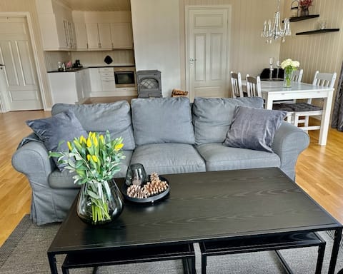 Top performing Airbnb: Downtown apartment with a view. in Midt Telemark