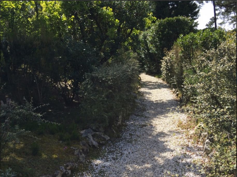 Petit chemin menant à la maison