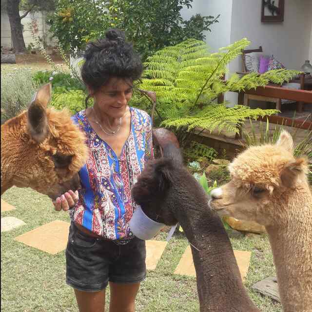 A person is surrounded by two friendly alpacas in a green outdoor space. Lush grass and various plants are visible in the background, contributing to a relaxed atmosphere. The setting appears bright and inviting, perfect for animal interactions.