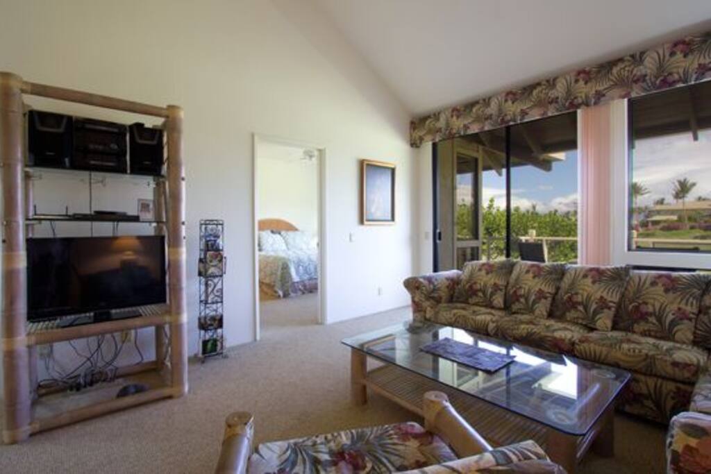 Living room area right next to lanai