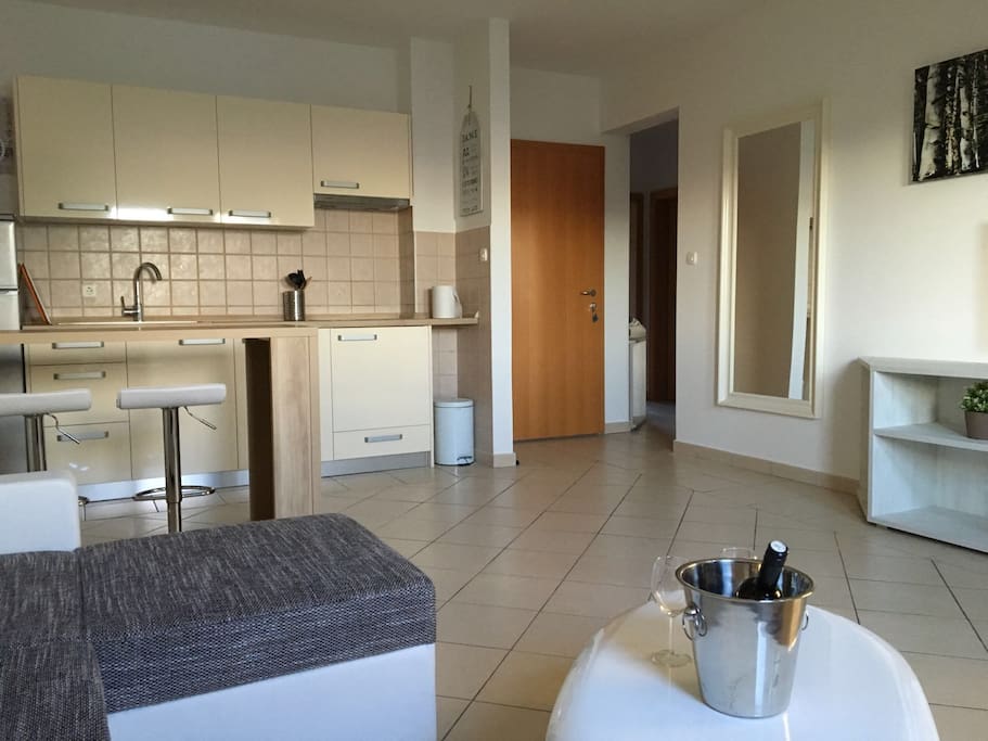 Living room and kitchen