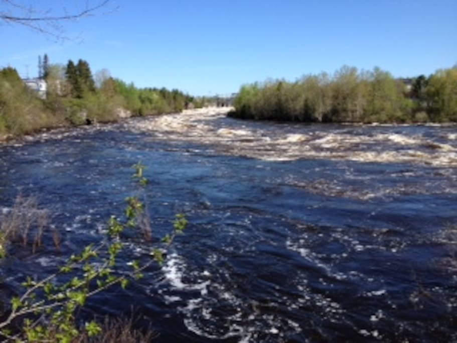 Rivière Petite-décharge, à proximité