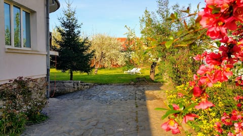 Amazing house with garden in the city centre