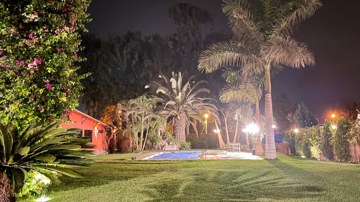 A lush garden is illuminated at night, featuring vibrant green grass and a swimming pool surrounded by palm trees. Soft lighting enhances the serene atmosphere, and the colorful foliage adds to the tranquil setting.