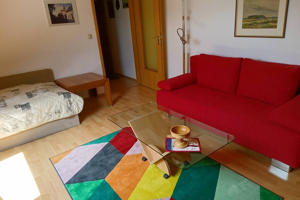 Wohn - Schlafzimmer mit Bett