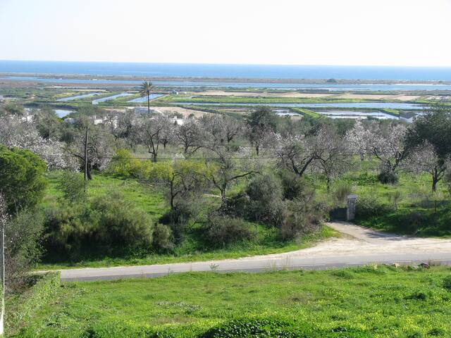 Tavira Apt with an Ocean View