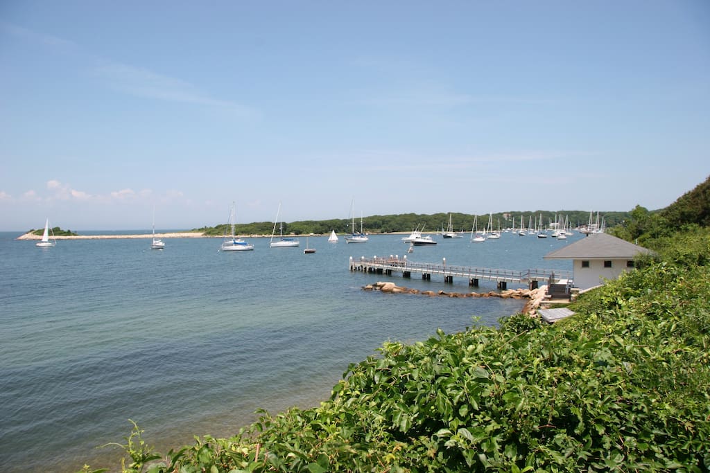 Quissett Harbor setting